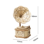 3D Houten Puzzel Bouwset - Creatieve DIY Decoratie van Natuurhout