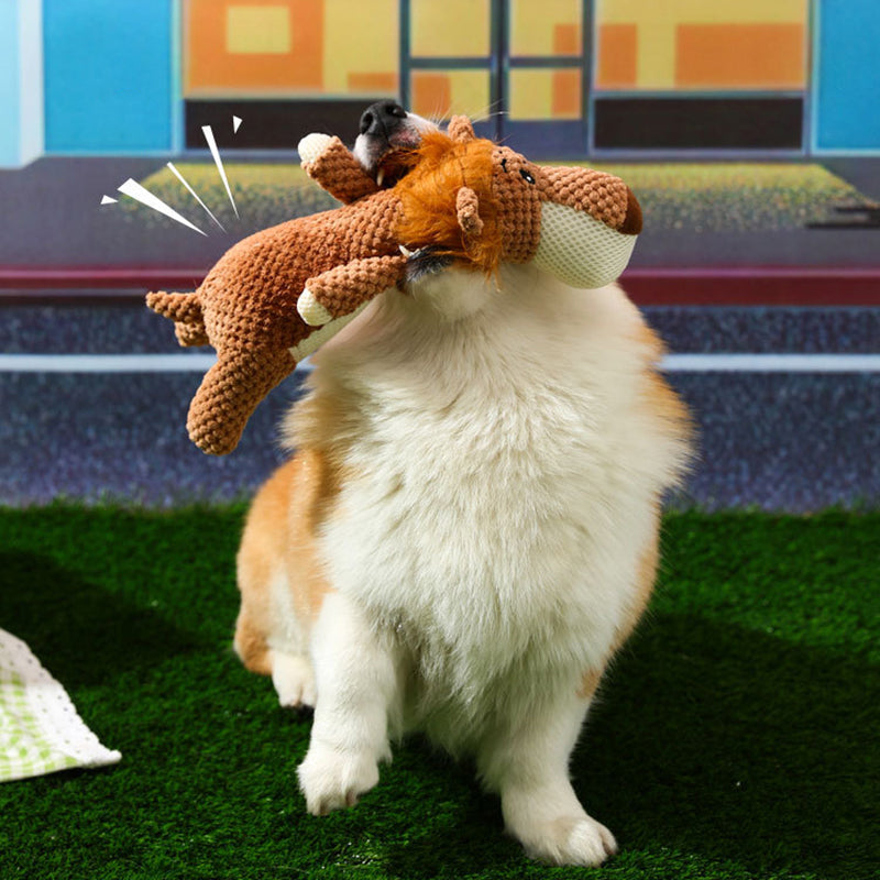 Plush - Extra sterk hondenspeelgoed leeuw, wolf of olifant