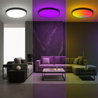 Dimbare Smart LED Plafondlamp 24W - zwart - 16 miljoen kleuren